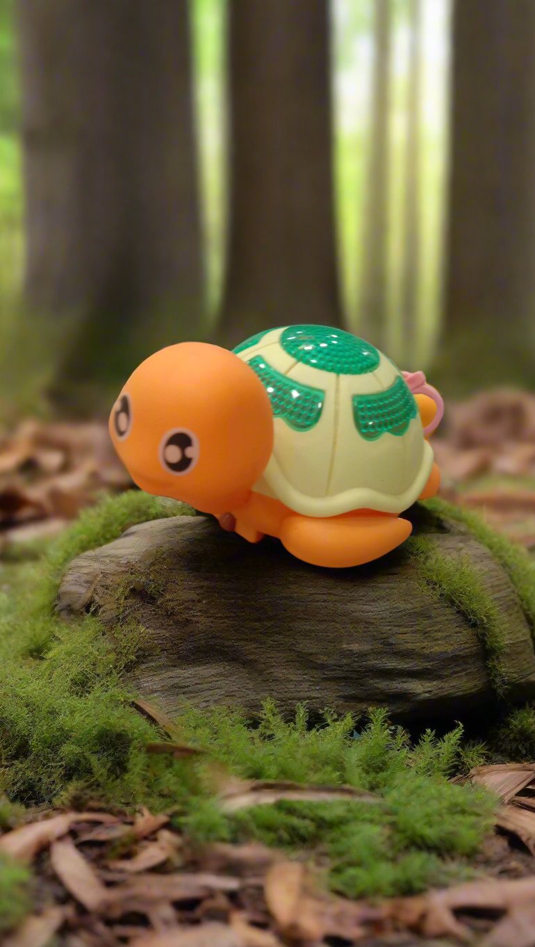 Tickle Tortoise