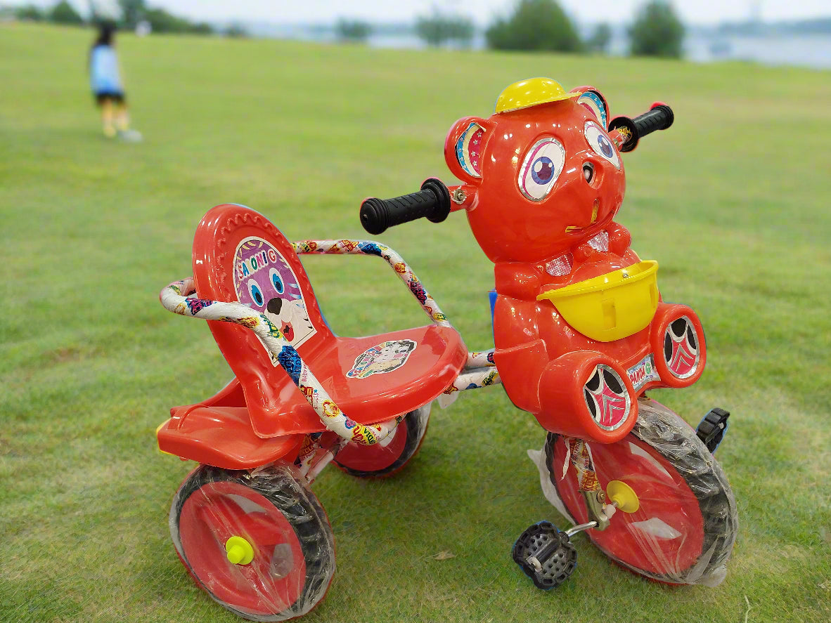 Saloni Cycle