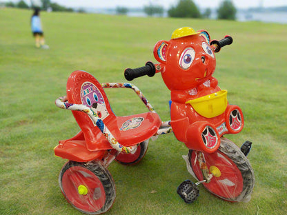 Saloni Cycle
