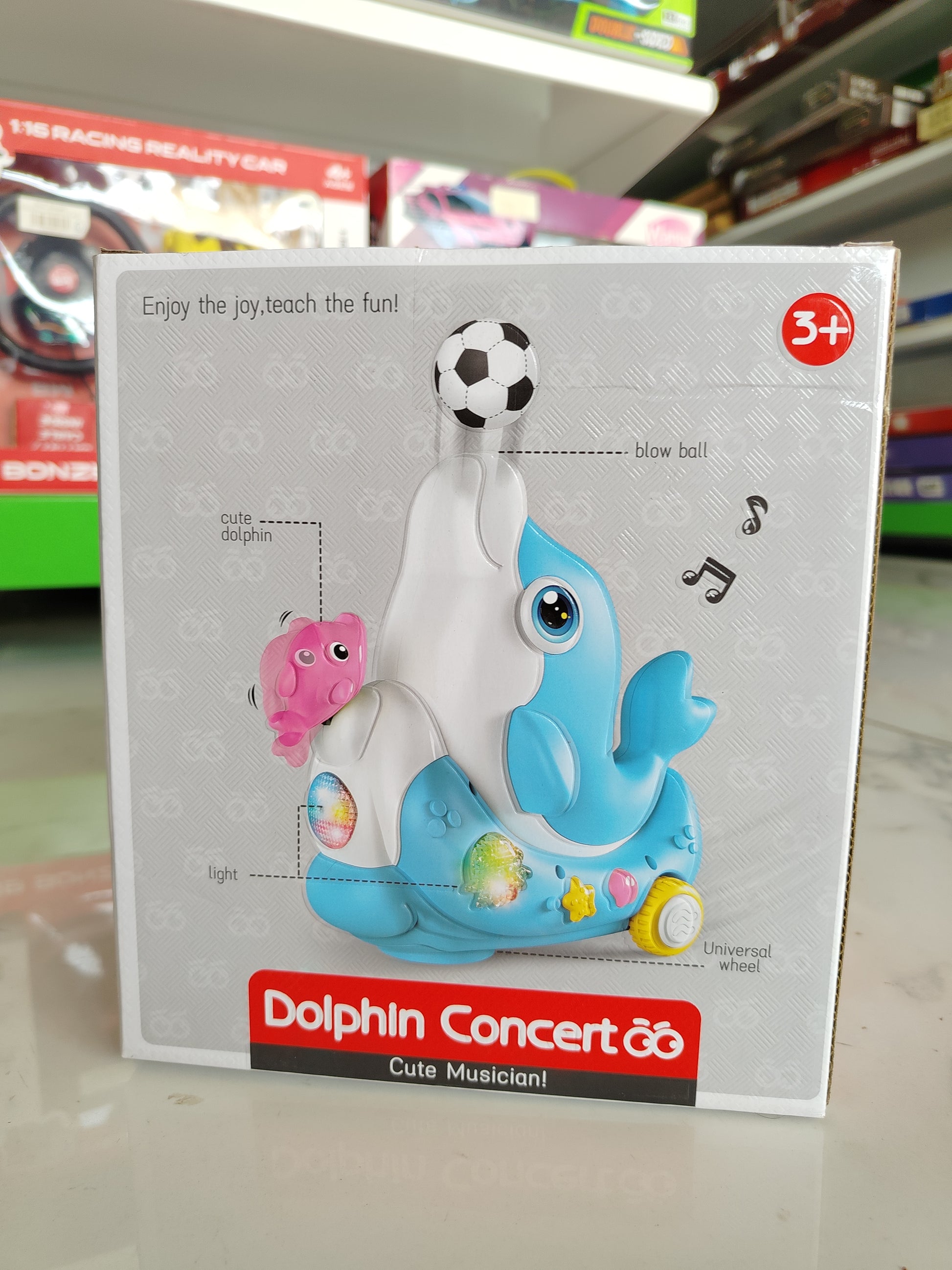 Dolphin Concert