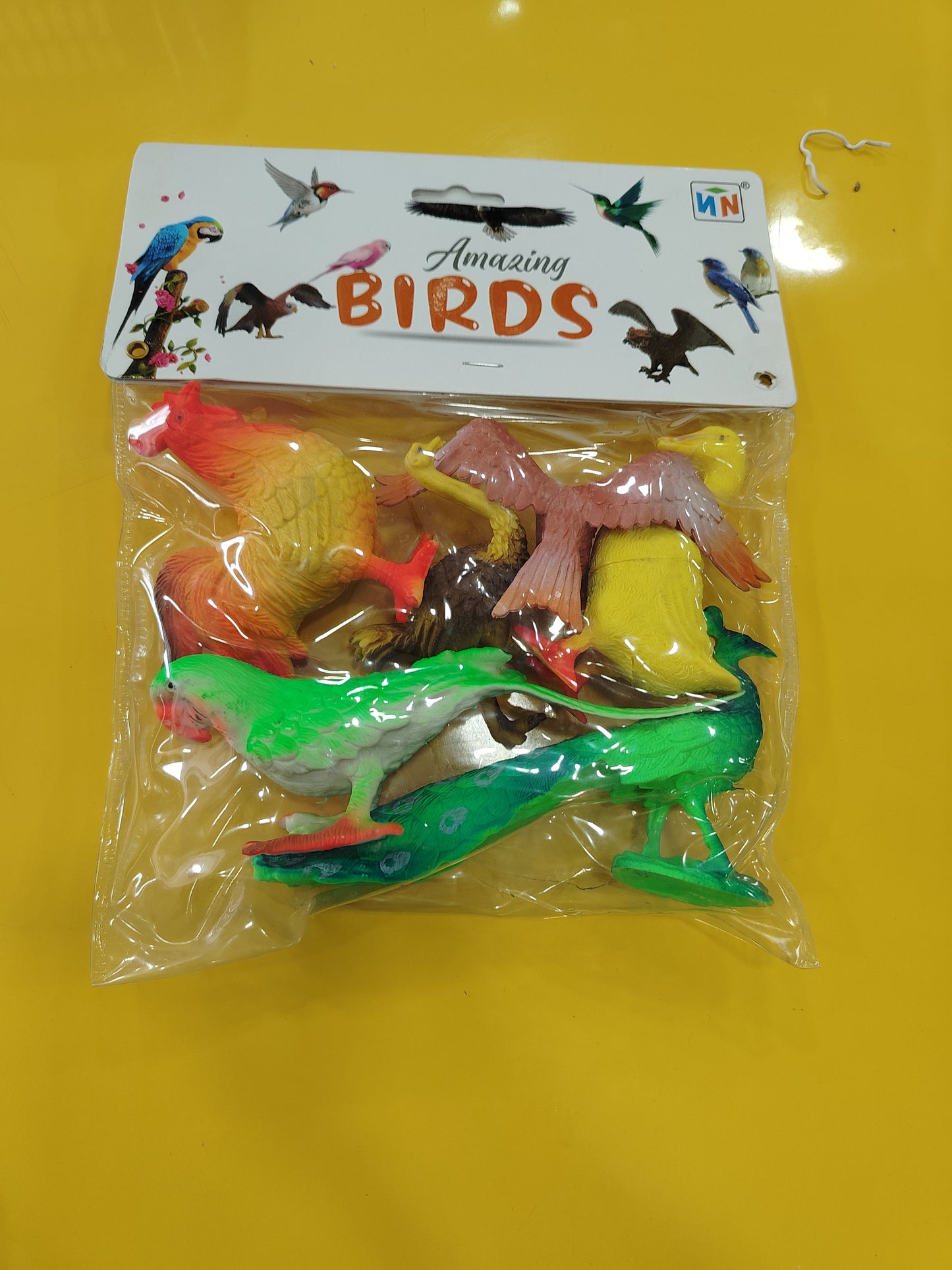 Amazing Birds