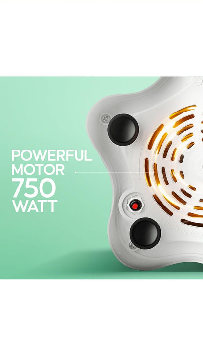 Longwoy Grinder 750W