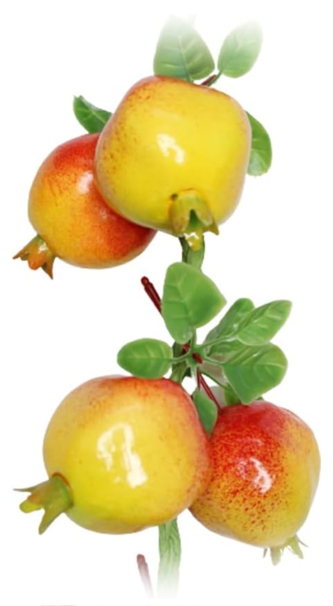 Fruit hanging