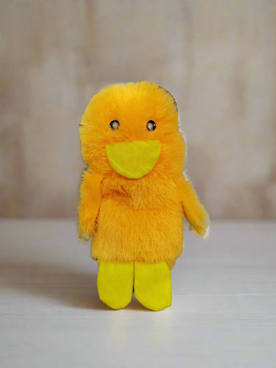 DUCK TEDDY